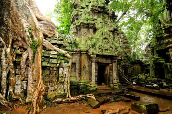 Angkor Wat - Ta Prohm temple, Cambodia